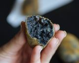 Foto del paso 7 de la receta Croquetas de calamar en su tinta