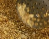 A picture of step 3 of Besan with dry fruits.