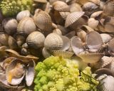 Une image de l'étape 3 de Coques au chou Romanesco.