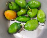 Foto langkah ke 1 dari resep Ase Cabe Gendot Tahu.