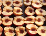 Sült alma recept fázis 3 fotója