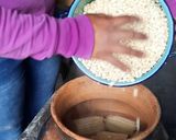 Foto del paso 8 de la receta: Chileatole