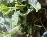A picture of step 1 of Strapatsada with Tomato and Amaranth Greens.