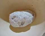 Foto del paso 6 de la receta: Tamal de mati