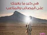 خلية النحل بالتمر