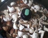 Foto del paso 7 de la receta Estofado de cordero con festival de setas