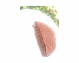 A picture of step 3 of Chocolate Cake Slice.