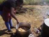 Umleqwa / hard body chicken