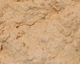 Ínyenc csirkemell recept fázis 3 fotója