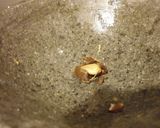 Foto del paso 3 de la receta: Mermelada de Damascos