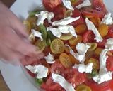 A picture of step 4 of Caprese Salad or Insalata Caprese.