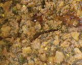 A picture of step 7 of Shaljum (Turnip) And Palak (Spinach) Ki Bhujiya.