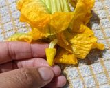A picture of step 3 of Stuffed Pumpkin flowers with ricotta.