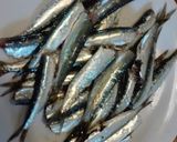 Foto del paso 2 de la receta: Guiso marinero de xoubas