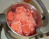 Foto del paso 3 de la receta Helado de sandía Thermomix