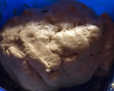 Foto del paso 4 de la receta: Pan dulce de Navidad