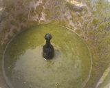 Une image de l'étape 2 de Soupe fane de radis.