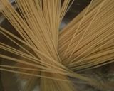 Foto langkah ke 1 dari resep Mee Mamak Goreng (Mie goreng ala Malaysia).