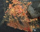 Foto langkah ke 2 dari resep Rujak Coel Bumbu Kacang.