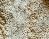 A picture of step 1 of મગજ.