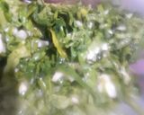 Foto del paso 4 de la receta: Tortilla de espinaca rápida