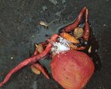 Foto langkah ke 3 dari resep Sambal Terasi ala Warung Lalapan.