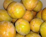 Foto del paso 5 de la receta: Kakis borrachos de Alcaudete
