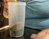 Foto del paso 2 de la receta: Chimichurri a mi manera