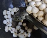 अलसी गुड आटे की पिन्नी (Alsi gur aate ki pinni recipe in Hindi) रेसिपी चरण 5 फोटो