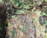 Foto del paso 2 de la receta: Buñuelos livianos de lechuga 🥬🥬