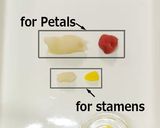 A picture of step 6 of Nerikiri Wagashi: "Tsubaki" (Camellia).