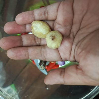 Langkah 5