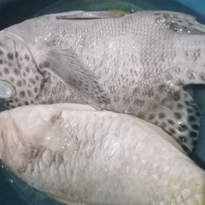 Langkah 1