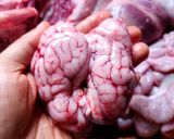 Hình bước làm 1 của món Óc heo hấp