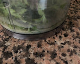 Foto del paso 3 de la receta: 425. Tellinas o coquinas a la plancha (picoteo)
