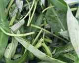 Foto langkah ke 1 dari resep Tumis kangkung tempe rebon.