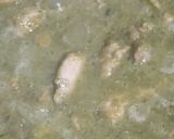 A picture of step 4 of Green Chicken.
