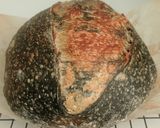 Foto langkah ke 23 dari resep Yin Yang Sourdough Bread (92% - Oven Tangkring).
