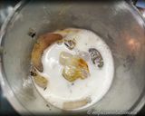 Foto del passaggio 2 della ricetta Tartare di Branzino al Pepe Rosa e Cipolle di Breme