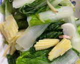 藍藍的-清炒小松菜的食譜步驟1照片
