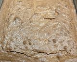 A picture of step 5 of Gourmet Brownie!.
