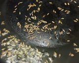 A picture of step 2 of Foxtail Millet Khichdi with Moong Sprouts/Soya Chunks and mixed vegetables.
