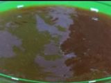 مربى المشمش