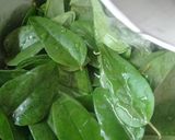 Foto langkah ke 1 dari resep Cincau Hijau (Jelly/Rambat) Homemade.