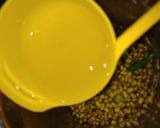 મગ દાળ ઢોસા (‍Mung Dal Dosa Recipe In Gujarati) રેસીપી સ્ટેપ2ફોટો