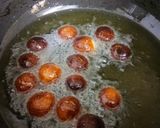 A picture of step 3 of Farali Gulabjamun.