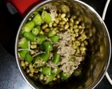 મગ  ઢોસા(Moong Dosa recipe in Gujarati) રેસીપી સ્ટેપ2ફોટો