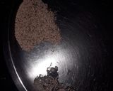 A picture of step 1 of Mushroom masala.