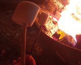 Foto del paso 4 de la receta: Malvadiscos Asados en Fogata (Marshmallows)