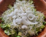 Foto del paso 1 de la receta: Ensalada verde con uvas y nueces